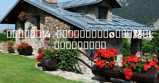 ������¼  ���������ø���䵭�Ļ����ָ����